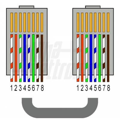 SPINA RJ45 8P8C A PRESSIONE